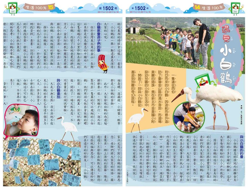 遇見小白鶴