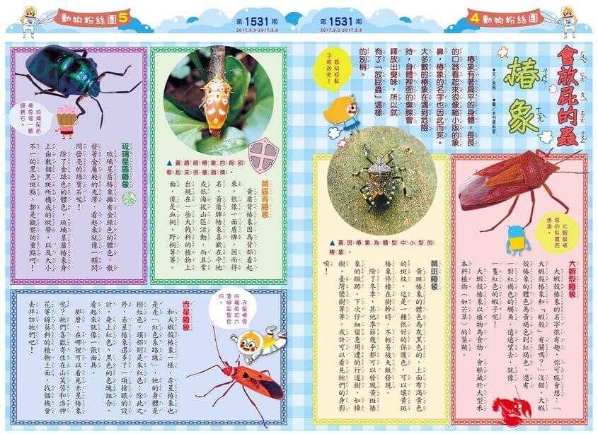 04-05 動物粉絲團 會放屁的蟲 椿象