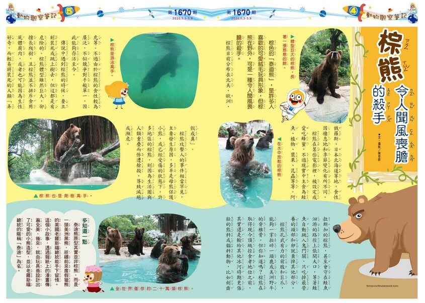 04-05 動物觀察筆記 棕熊 令人聞風喪膽的殺手