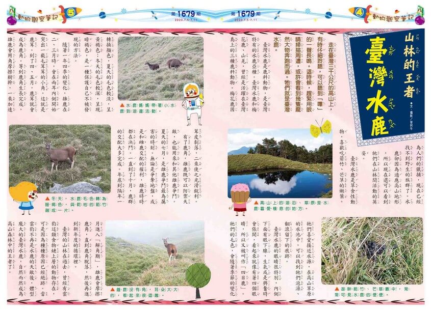04-05　動物觀察筆記　山林的王者　臺灣水鹿