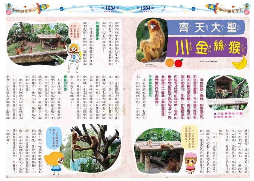 04-05　動物觀察筆記　齊天大聖　川金絲猴
