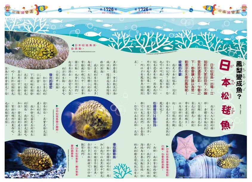 04-05　水族游樂園　鳳梨變成魚？日本松毬魚