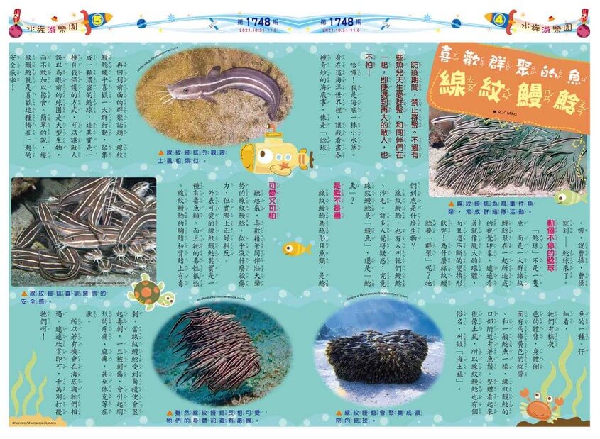 04-05　水族游樂園　喜歡群聚的魚　線紋鰻鯰
