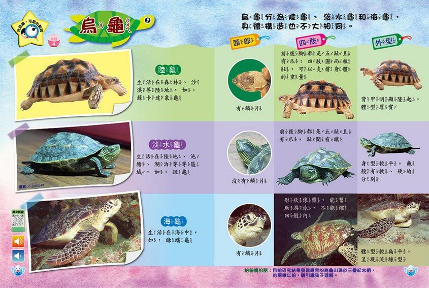 我認識‧可愛的動物-烏龜