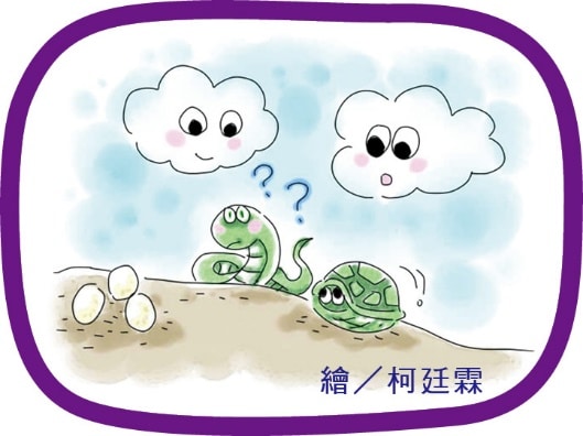 word image