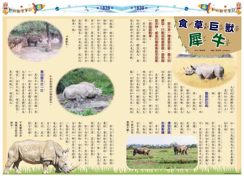 4-5　動物觀察筆記　食草巨獸　犀牛