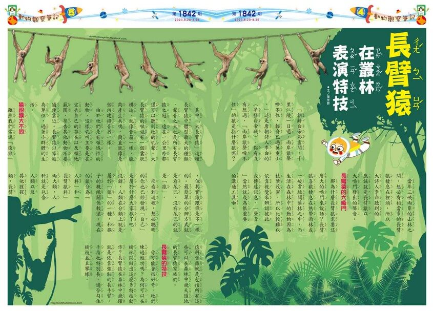 4、5 動物觀察筆記 長臂猿 在叢林表演特技