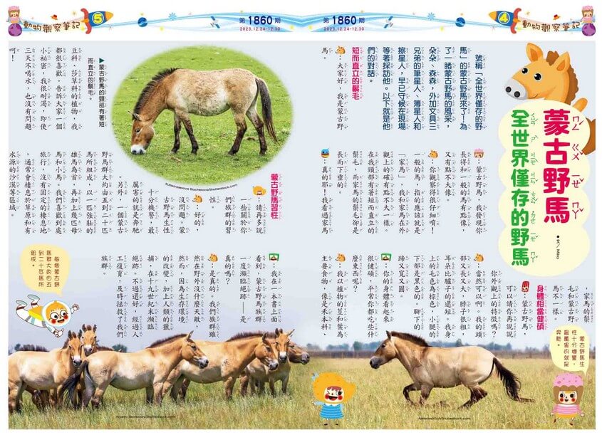 4、5 動物觀察筆記 蒙古野馬　全世界僅存的野馬