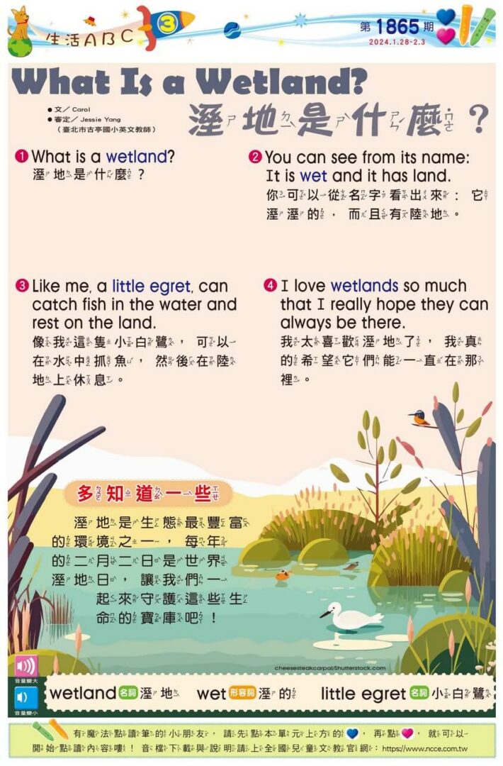 3 生活ABC What Is a Wetland 溼地是什麼？