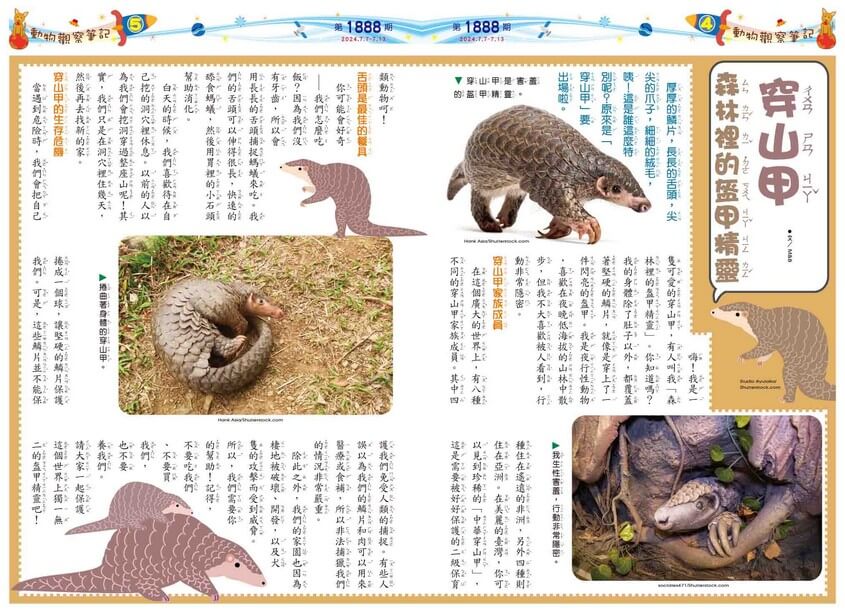 4、5 動物觀察筆記 穿山甲 森林裡的盔甲精靈