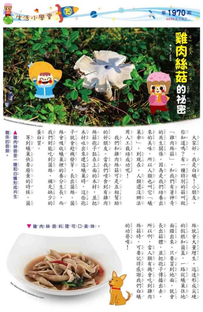15 生活小學堂 雞肉絲菇的祕密