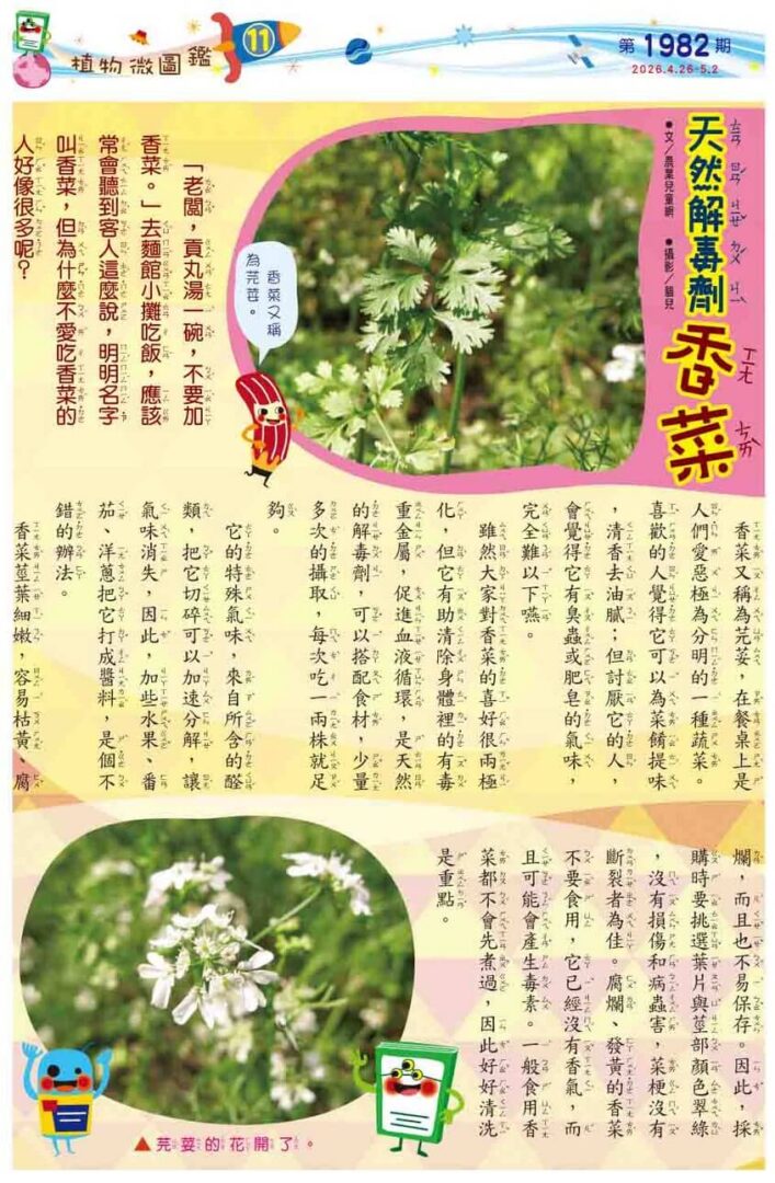 11 天然解毒劑 香菜