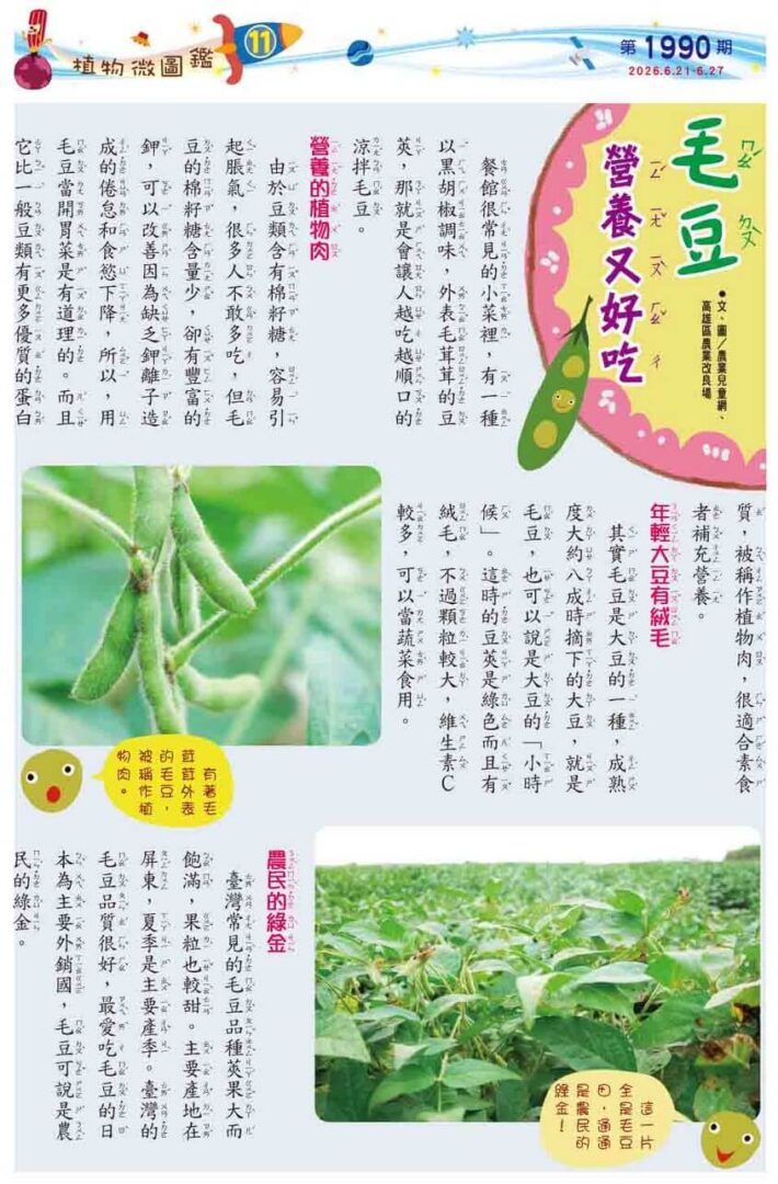 11 植物微圖鑑 毛豆 營養又好吃
