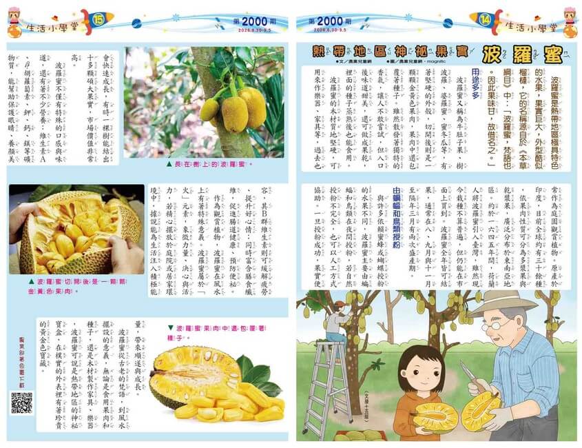 14-15 生活小學堂 熱帶地區神祕的果實 波羅蜜